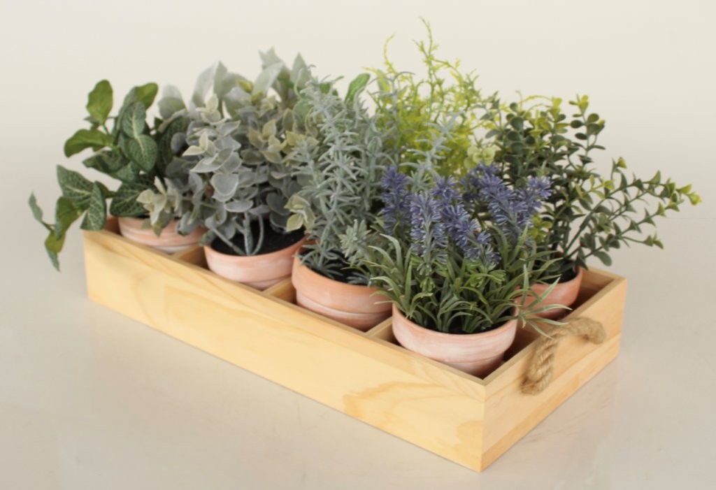 Set Of 8 Herb Pots In Wooden Tray With Handle